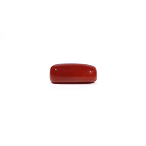 Natural Red Coral Oval Cabochon Loose Gemstone 7.02 Carat Certified Wholesale - Product Image 3
