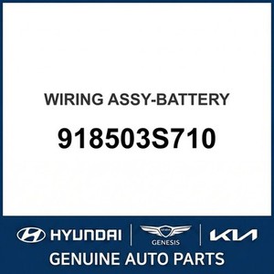 Batteries neuves Sonata 918503S710 - Product Image 1