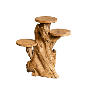 ARTERRA Support de Présentation en Bois Massif Artisanal Rustique en Racine de Teck Bio de Luxe pour Décoration Intérieure/Extérieure - Idéal Diwali - Product Image 1