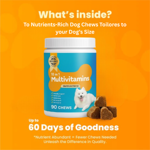 Manufacturer Pet Multivitamin Chews for Dogs with Probiotics Immune Digestive Support Health Care Supplement Bulk Supply - Product Image 2