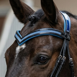 Anatomic Leather Dressage Horse Bridle V Shaped Neoprene Padded <b>Blue</b> Sparkle <b>Glitter</b> Noseband Comfortable Durable High-Grade - Product Image 5