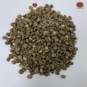 Grains de café Robusta non torréfiés S16 saveur naturelle origine Vietnam pour torréfaction industrielle prix de gros compétitif - Product Image 1