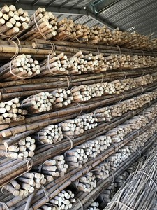 Unbleached Softened Rattan Ribbon Cane Peel 2mm 2.5mm Strong Rattan Cane Strip Rattan Split Cane Webbing Material for Handicraft - Product Image 4