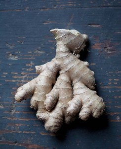Gingembre frais du Vietnam de haute qualité, racine de gingembre biologique naturelle, herbe épicée pour la cuisine et les produits santé - Product Image 1