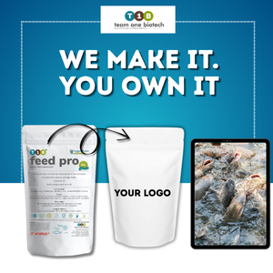 Aditivos Probióticos para Alimento de Peces para una Mejor Utilización y Apoyo - Product Image 5