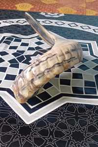 Shofar unique en corne de bélier naturelle, écologique, poli brillant, pour usage religieux et cadeaux pour la maison/les entreprises - Hs Husnain Crafts, bon prix - Product Image 2