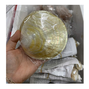 Élégante assiette en nacre, plateau artisanal en coquillage naturel, accessoire décoratif pour table - Product Image 4