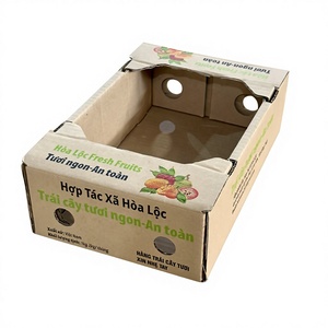 Caja de Cartón para Fruta Fresca de Alta Calidad para Uso Comercial, Materiales Reciclados Ecológicos, Personalizable OEM ODM, Proveedor Vietnamita Quyet Thang - Product Image 1