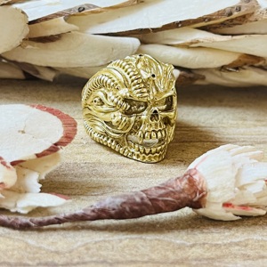 2026 Classic Trendy Skull <b>Rings</b> Gothic Brass <b>Ring</b> <b>Men</b> 18k Gold Plated Chunky Vampire Demon Band Statement <b>Ring</b> Wholesale/OEM/ODM - Product Image 4
