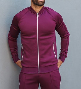 Wholesale Men's Autumn Lightweight Reversible Breathable Plus Size Slim Fit <b>Joggers</b> Outdoors Training Tracksuit Sweatsuit Set - Product Image 4