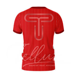 Kit d'entraînement de football personnalisé Kit de sport Maillots de club de football Chemise de haute qualité Femmes Hommes Maillot de football Maillot de football - Product Image 2