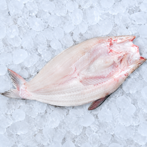Filets de poisson pangasius basa surgelés en gros pour restaurants / Mme Alina - Product Image 6