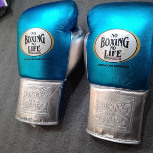 Gants de boxe professionnels en cuir de vachette à lacets, entièrement couvrants, avec rembourrage, modèle RL-BG-233 – Sans boxe, pas de vie - Product Image 1