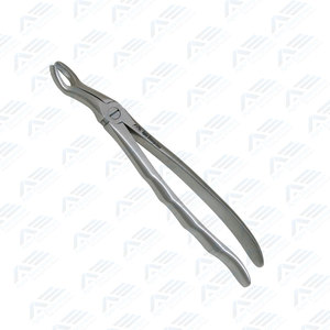 Forceps d'extraction pour molaires supérieures, instruments chirurgicaux dentaires, forceps dentaires, équipement médical, forceps d'extraction dentaire - Product Image 4