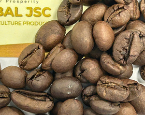 เมล็ดกาแฟคั่วคัดพิเศษ พรีเมียม ซีเล็คชั่น S18 ขนาดใหญ่ คั่วแบบสม่ำเสมอ ปริมาณคาเฟอีนสูง สำหรับเครื่องชงเอสเพรสโซ - Product Image 6