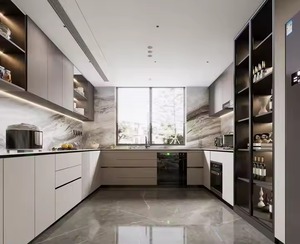 Varios colores y puertas de armario de cocina de diferentes estilos con madera maciza de abedul/madera de caucho para venta al por mayor - Product Image 1