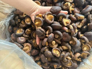 เห็ดชิตาเกะแห้งคุณภาพสูงจากเวียดนาม - หัวหนา 3-5 ซม. เห็ดดำพรีเมียมสำหรับขายส่ง - Product Image 2