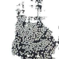 TOP VIETNAM SUSHI RIZ À GRAINS COURTS JAPONICA JAPONAIS 5% RIZ CASSÉ RIZ ARROZ AU EN VRAC AVEC BON PRIX/LINDA WS + 84393250278 - Product Image 6