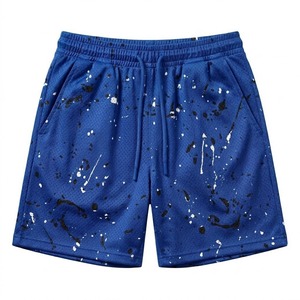 Premium Basketball Mesh <b>Shorts</b> Men Casual Athletic Oversized Summer Training <b>Shorts</b> - Product Image 1