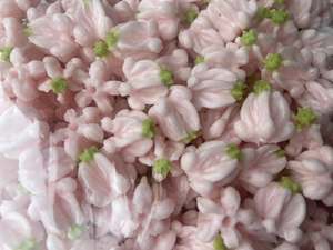 Flores de Arcilla Hechas a Mano, Flores Artificiales Tailandesas Realistas para Manualidades Florales - Product Image 5
