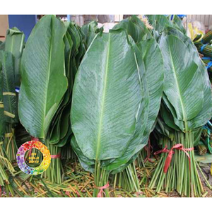 Pastel de Hoja de Dong Orgánico Envasado al Vacío, Congelado IQF, Grado Superior, Empaque OEM a Granel con Conservación de Agua - Product Image 5
