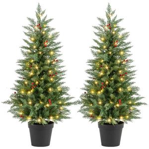 2 Alberi di Natale LED da 120 cm con Timer, 15 Grappoli di Bacche Rosse, Facile Montaggio, Realistici, in PET PVC, per Esterni, Personalizzabili - Product Image 1