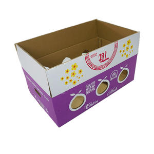 Custom Packaging <b>Box</b> for Fresh Pomelo Fruit | Agricultural Produce Carton for Export, Wholesale and <b>Long</b>-Distance Transportation - Product Image 3
