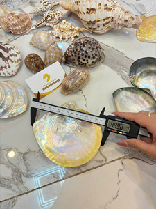 Vietnam Contemporary Mother of Pearl Plate Natural Shell Material for Jewelry Tray Serving <b>Tabletop</b> Display - Product Image 5