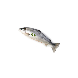 Salmón Rosa Congelado, 100% Calidad de Exportación - Product Image 1