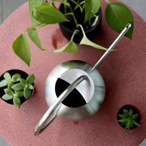 Arrosoir décoratif de luxe à longue portée, accessoire d'intérieur moderne et élégant, arrosoir en métal pour usage intérieur, fait main - Product Image 3