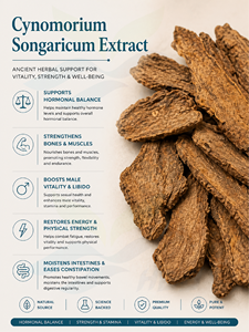 Hgo สารสกัดจาก Cynomorium songaricum จากธรรมชาติบริสุทธิ์ (เกรดอาหาร) ข้อมูลจำเพาะ10:1 (สารสกัดอัตราส่วน) - Product Image 2