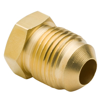 Raccord en laiton forgé plaqué haute pression à filetage NPT, résistant à la corrosion, classe 1000, pour systèmes de gaz, eau et air, et tuyaux