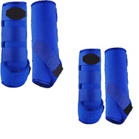 Botas de Viaje para Caballos Resistentes a Precios Accesibles, Protección para Todo Clima y Comodidad durante Viajes de Larga Distancia
