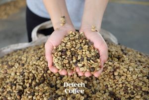 เมล็ดกาแฟ100% Robusta arabica จากลูกชายลาเวียดนาม-MOQ ต่ำรสชาติเป็นกลางเมล็ดคั่วบรรจุถุงรองรับร้านกาแฟท้องถิ่น - Product Image 3