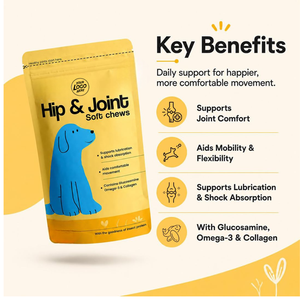 Friandises à mâcher pour chiens et chats pour la santé des hanches et des articulations, la mobilité, le soutien immunitaire, complément alimentaire premium pour animaux de compagnie, fabrication directe, OEM, ODM, marque privée - Product Image 3