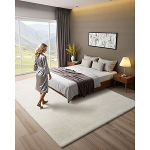 Tapis d'intérieur moderne 8 x 10 pieds en peluche, tapis moelleux et duveteux pour salon, chambre et véranda - Product Image 2