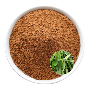 Polvo de Cissus Quadrangularis Finamente Procesado, Grado Suplemento Alimenticio, Proveedor de Polvo de Cissus Quadrangularis para la Salud Ósea - Product Image 3