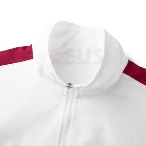 Trajes Deportivos Ligeros de Primera Calidad al por Mayor para Hombre, Ropa Deportiva, Conjuntos Deportivos para Hombre de Zeus International - Product Image 2