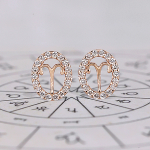 <b>Stud</b> <b>Earrings</b> Women's 925 Silver Rhodium Plated <b>Crystal</b> Rhinestone Minimalist Everyday Wear Jewelry - Product Image 2