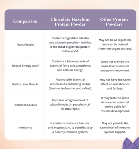 Poudre de protéines de chanvre biologique HP Valia - Saveur chocolat-noisette 500g Vente en gros Exportation d'Inde (Uttarakhand) Naturel et brut - Product Image 3