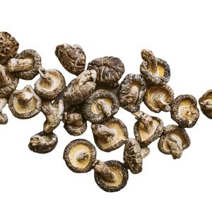 EXPORTATION DE CHAMPIGNONS SHIITAKE SÉCHÉS LARGEMENT NOUVELLE RÉCOLTE ET EMBALLAGE PERSONNALISÉ SÉCHÉ À L'AIR - Product Image 1