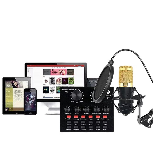 Wired BM800 Professional Condenser Microphone Kit V8S Sound Card Scissor Arm Shock Mount Pop Filter Audio Mixer Set Desktop