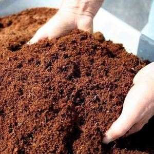 Bloc de tourbe de coco biologique pour le soutien de la croissance racinaire et l'humidification, idéal pour les grandes applications en serre - Product Image 3