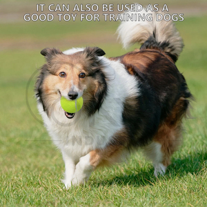 Créez votre propre balle de tennis de couleur jaune vif, résistante, de qualité supérieure, à haute élasticité, avec votre propre logo, nouvelle collection. - Product Image 6