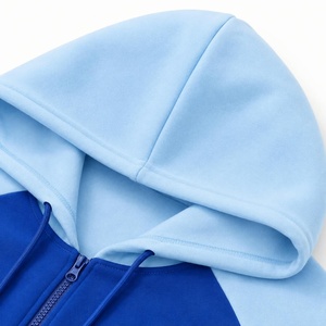 Unisex Blau Bedruckter Farbblockierender Kapuzen-Trainingsanzug Sportlich Leichtgewichtig Vollärmelig mit Kordelzug Lässige Herbstkleidung Normale Passform - Product Image 4