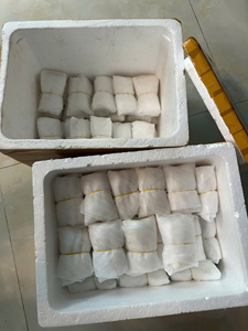 Small Spoons Mother of Pearl Handmade Shell Spoon Natural Eco Friendly Coffee Tea Dessert Spoon Wholesale Vietnam Supplier - Product Image 6