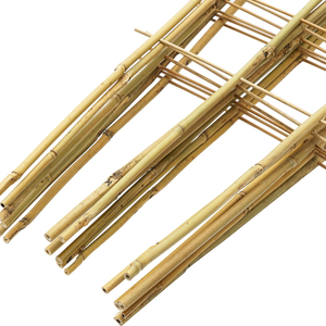 Arche de treillis de jardin en bambou vietnamien en gros, treillis en forme d'éventail pour plantes grimpantes - Prix B2B - Product Image 3