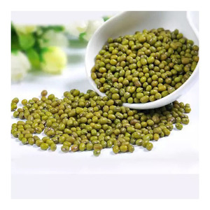 Premium Grade Green Mung <b>Beans</b> with High Purity and Low Moisture for International Markets - Product Image 2