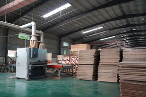 Plaques de contreplaqué en gros du Vietnam, qualité DD, avec revêtement phénolique, face en placage de bouleau, matériau de construction pour meubles - Product Image 5