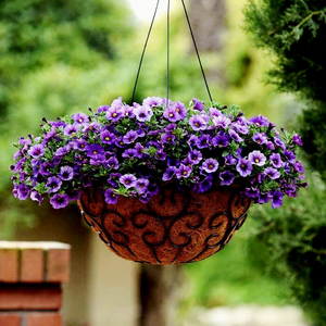 Maceta Colgante Grande de Fibra de Coco, Cesta Decorativa Natural para Plantas, Soporte para Flores, Recipiente de Turba de Coco para Orquídeas, Jardín y Decoración del Hogar - Product Image 6